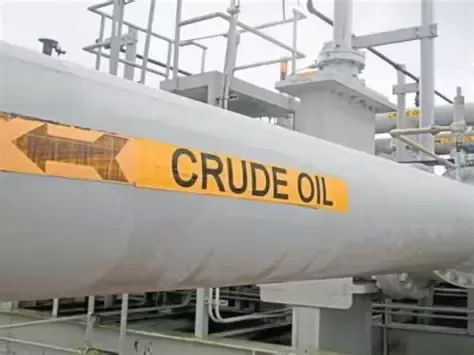 India Seeks US Tariff Relief as State Firms Buy Russian Oil